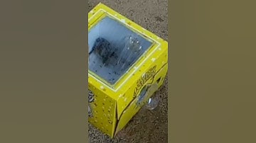 Easy Paper Bucket Mouse Trap | DIY Homemade Mouse Trap 2021 Part 01