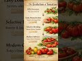 The Evolution of Tomatoes 🍅 | From Wild Fruit to Modern Food #Tomato #Evolution #Science
