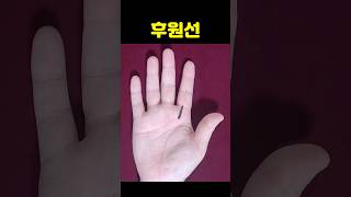 남의 도움을 받아 운이 열리는 손금 #손금 #재물운