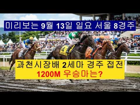 2세마 과천시장배 미리보는 우승마 찾아봐요?