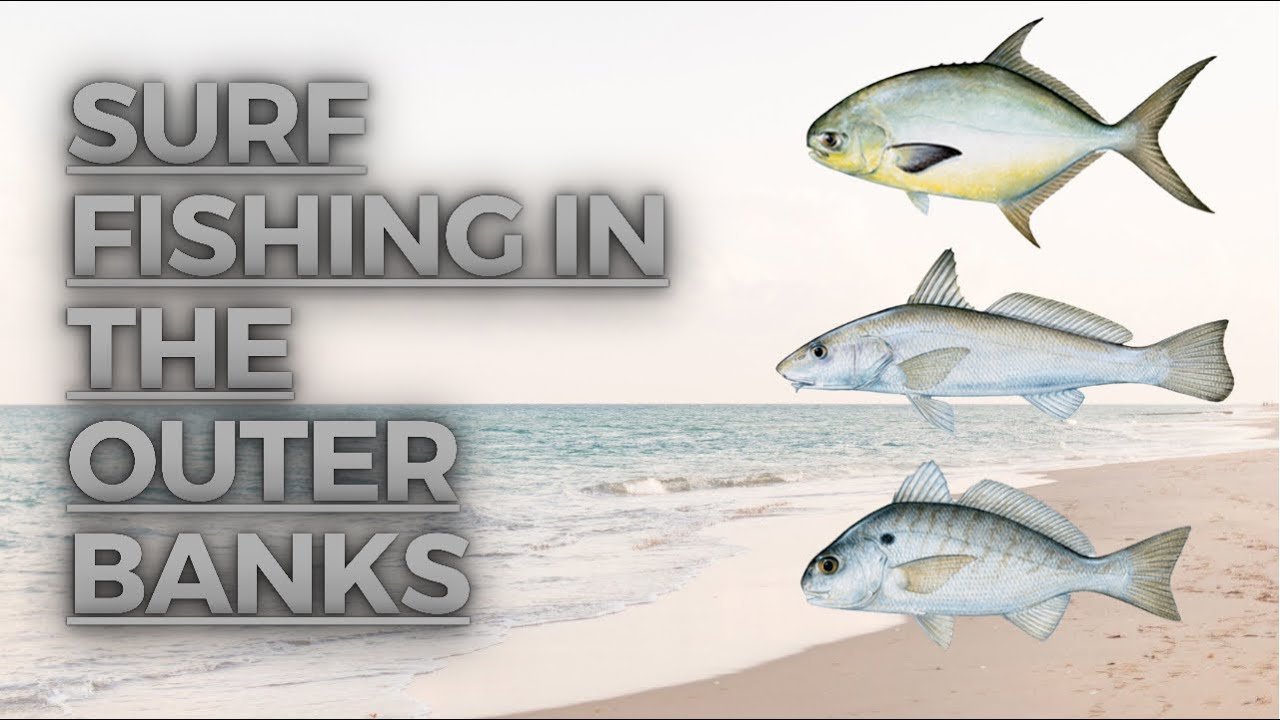 Surf Fishing in the Outer Banks 