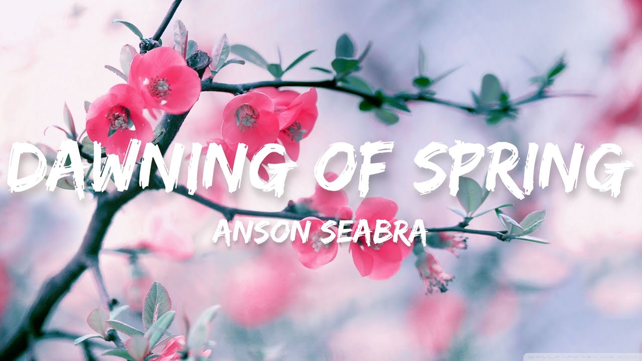 Anson Seabra - Dawning of Spring (Lyrics) - YouTube