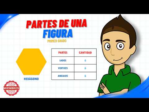 Partes de una figura (CLASE 14)