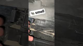 Rat Smell Remove In Wagonr At Home