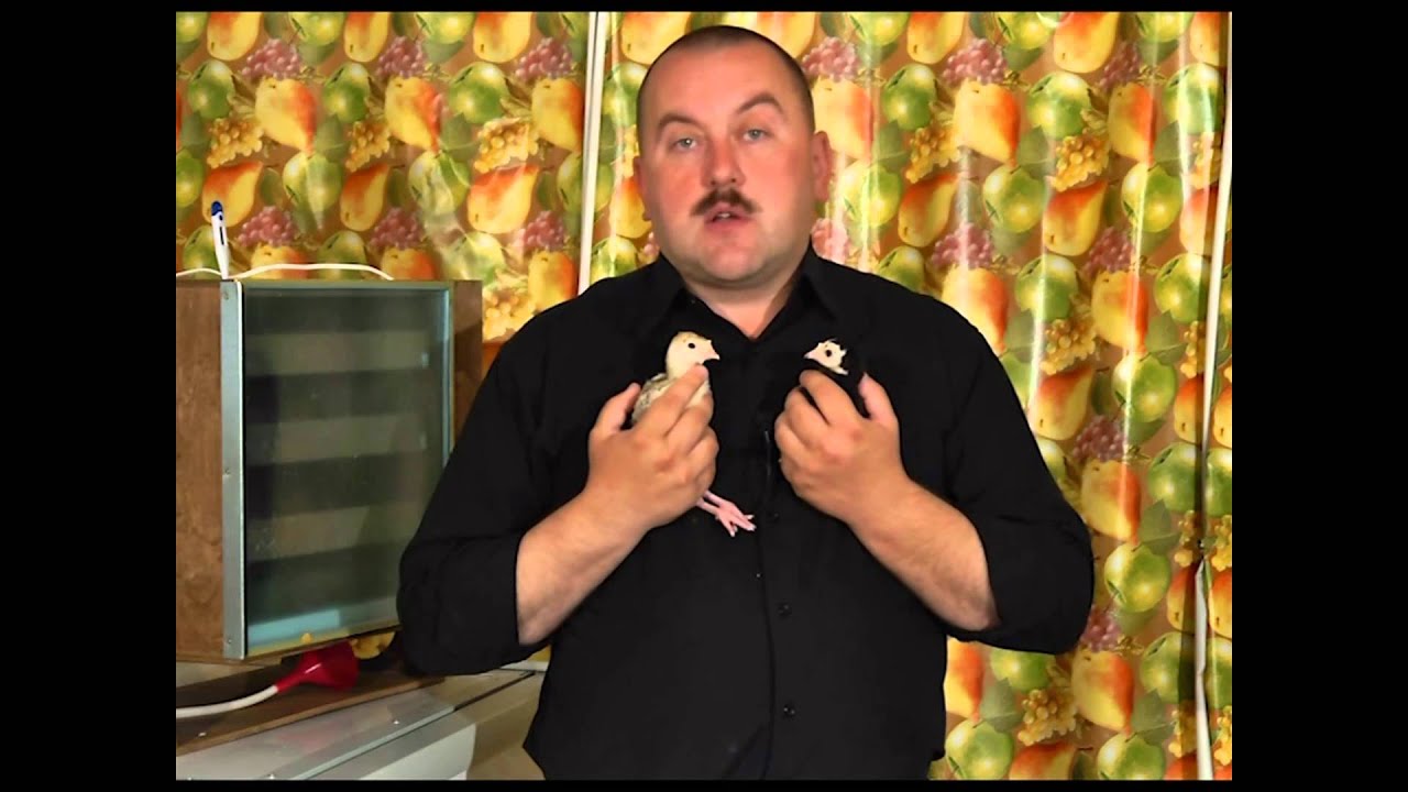 Фермерский бизнес Фермерский бизнес