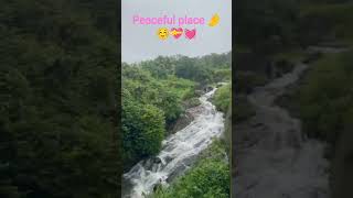 Mountain area🏔️ #water fall #song #greenery #youtubeshorts
