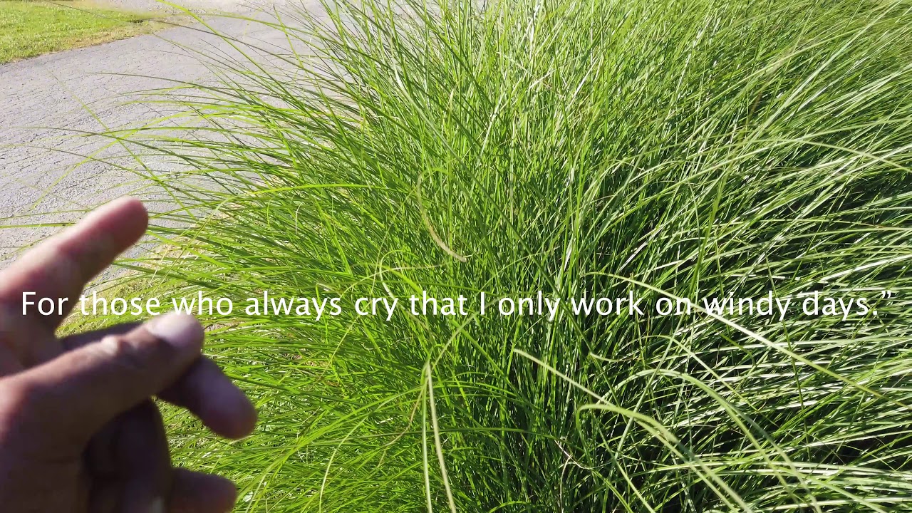 Magnetism #2 (Root of Aerokinesis)