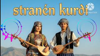 “Dilê Min Şikestî - Strana Kurdî Ya Kederê”(قلبي المكسور - أغنية كردية حزينة)