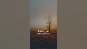 سورة البقرة | عبد العزيز الراجحي