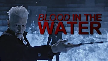 Gellert Grindelwald || Blood in the Water