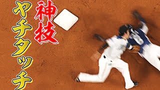 源田壮亮 “単独盗塁王”を阻んだのは『神技ヤチタッチ』