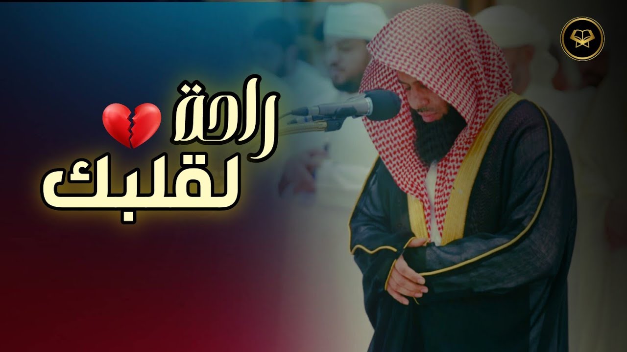 هدوء وسكينة وطمأنينة في هذه التلاوات بصوت الشيخ أنس العمادي