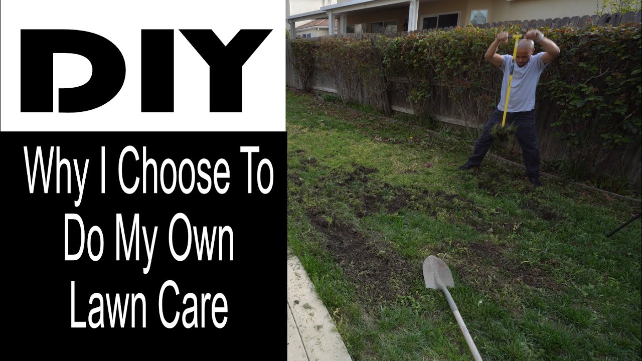 Diy why i do my own lawn care youtube