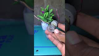 “घर पर बनाओ Mini Motor | Easy Science Experiment” #status .