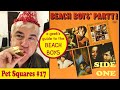 Pet squares 17 beach boys party side 1 a geeks guide to the beach boys