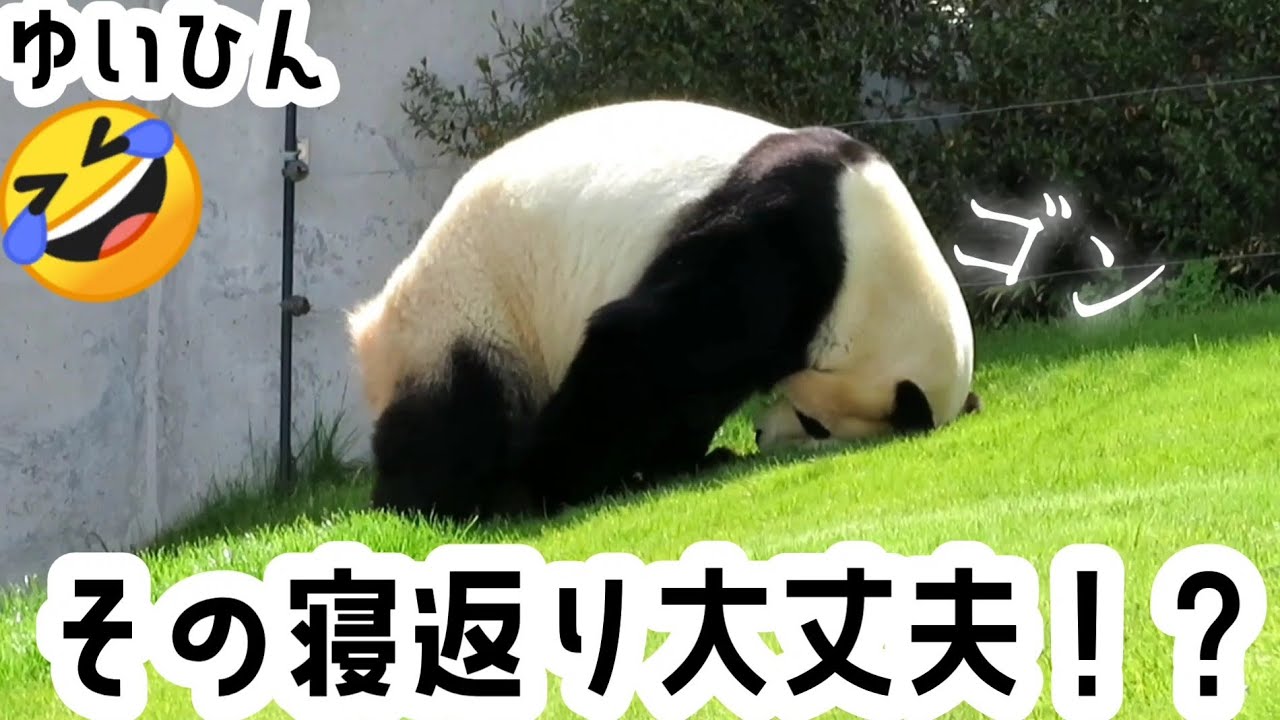 その寝返りで大丈夫！？🤣ゆいひん　おまけ｢今日の草浜🌿｣