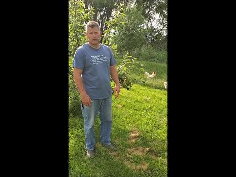 Video: Hvilken slags træer vokser i Iowa?