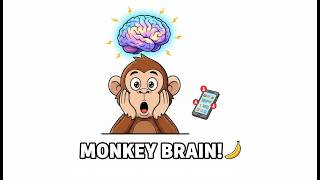 The Monkey Brain Trap: Why You Can’t Focus Profile