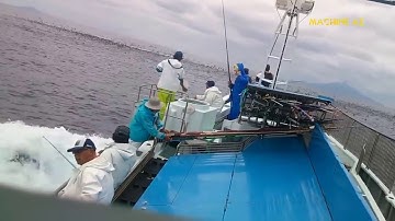 Đánh bắt cá ngừ đại dương | câu cá biển Tuna fishing |
