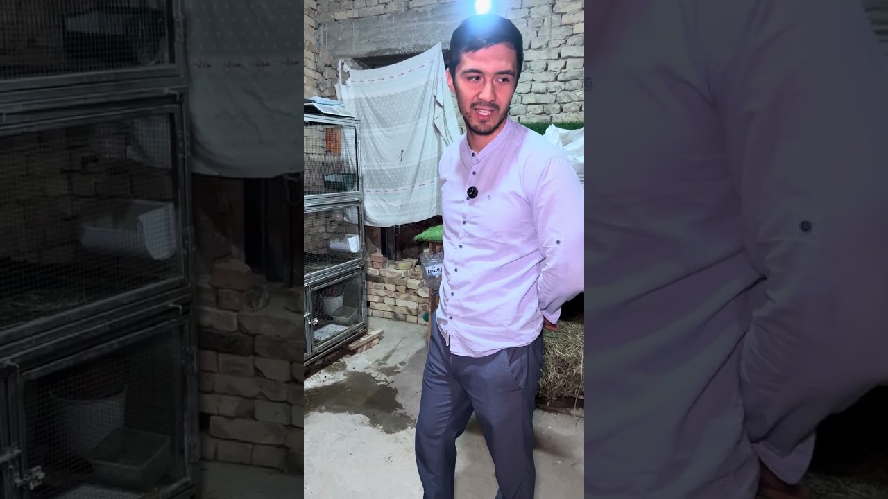 Fargonagadagi  fermaga keldik quyonchilik boshlaganiga xali bir yil bolme shuncha quyonlar