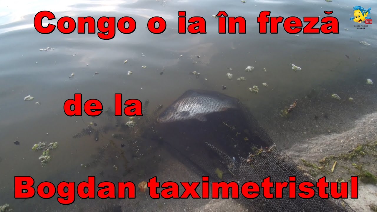 MORTAL COMBAT - CONGO VS BOGDAN - CONGO O IA IN FREZA DE LA UN TAXIMETRIST - PESCUIT CRAPI PE OLT