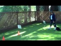 Rally Obedience Rally Obedience