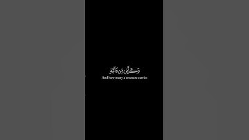 سورة العنكبوت #القرآن_الكريم #quran #عبدالرحمن_مسعد #تلاوات #تلاوة_خاشعة #القارئ #سورة #اسلام_صبحي