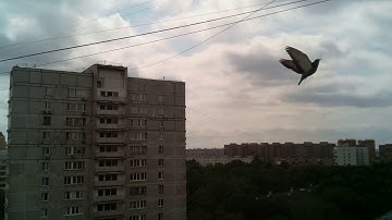 2020-06-06 16:57:34 Raspberry Pi Timelapse