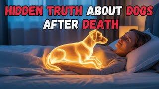 The Hidden Truth About Dogs After Death