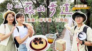 【彰化】超好玩步道！邊登山邊吃美食，員林藤山步道超好爬！藏身茶園的樟普寮山三角點超隱密，順遊八卦路買熱門伴手禮！回程走臥龍坡步道，一路下坡超輕鬆～｜肉腳友善步道｜1000步的繽紛台灣