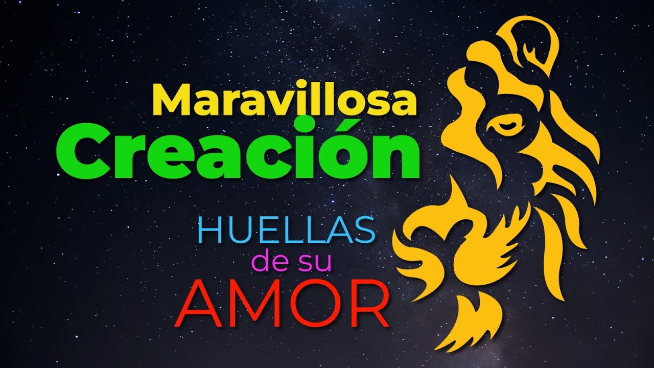 Maravillosa creación II 2 Temporada, episodio #9