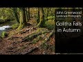 Golitha Falls, Autumn | Landscape Photography