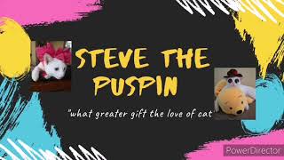 Apple green iphone 11 unboxing 💚 #stevethepuspin by Steve the puspin 843 views 2 years ago 4 minutes, 42 seconds