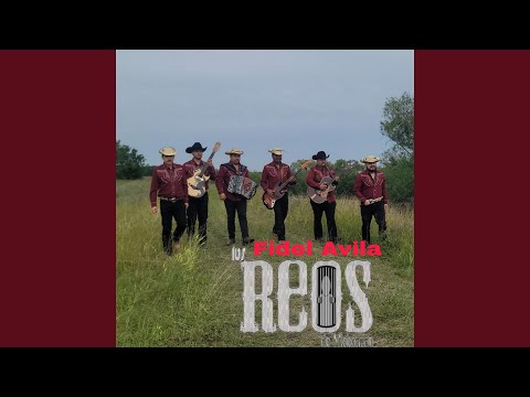 Estoy Recontento