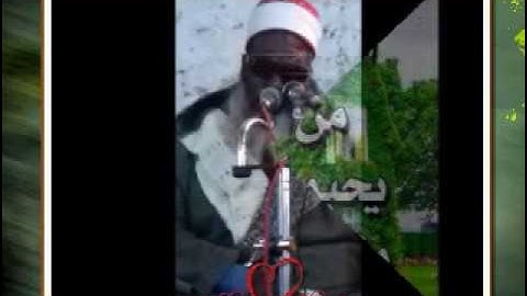 الشيخ محمود ابوالحجاج المناعي في سورة مريم صوت يقشعر البدن