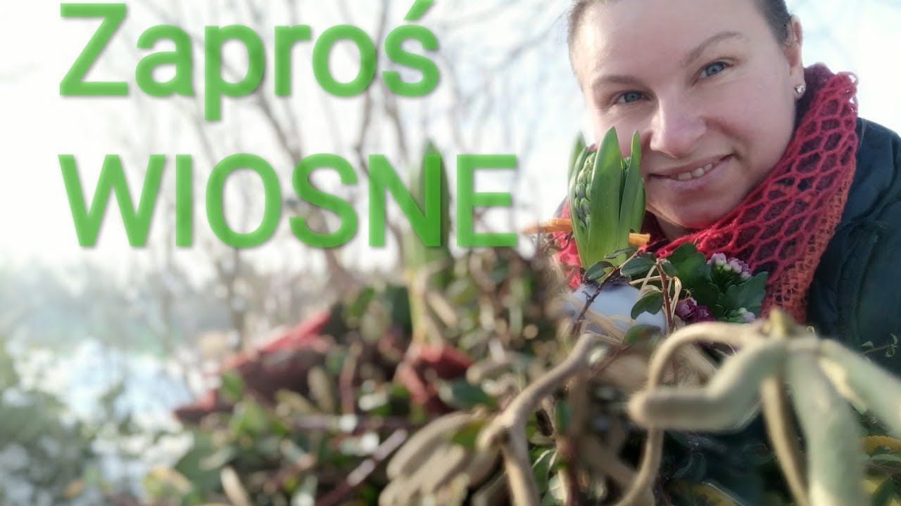 Wiosenna kompozycja na stół.