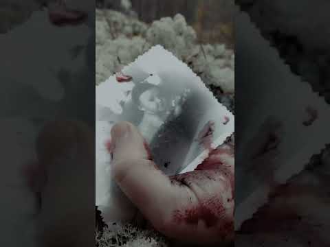 Расправа, фильм "Другая тишина" #shorts