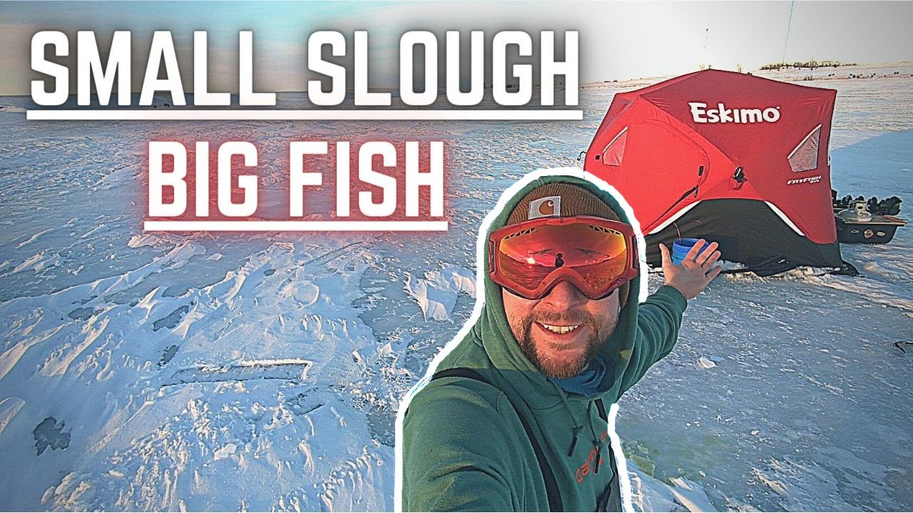 Fishing TINNY Slough In ⚠️DANGEROUS⚠️ Temps For Big AGGRESSIVE Fish!!!!!