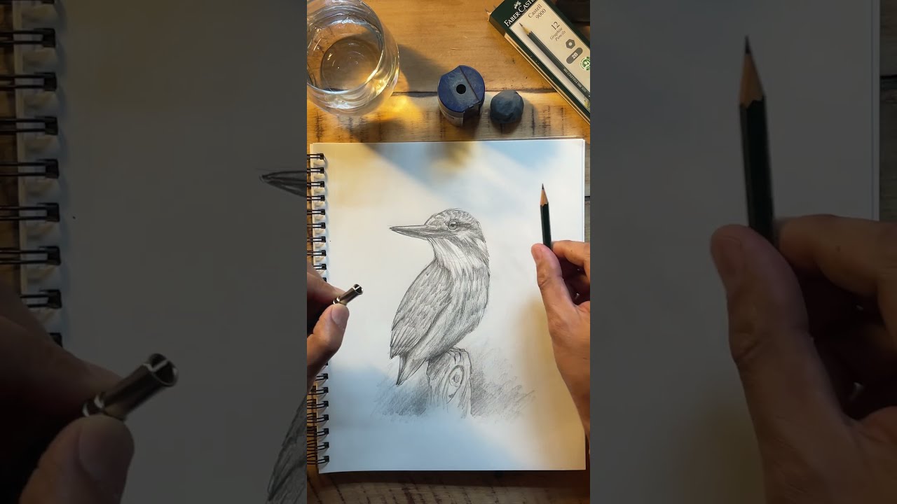 Join the Sketch Club FREE 7 Day Trial
