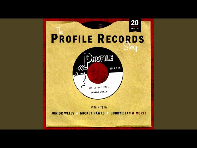 Junior Wells - Cha Cha Cha in Blues