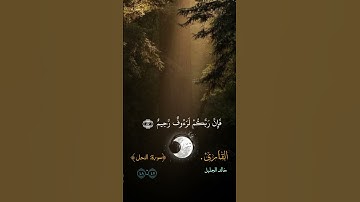 #قران_كريم #قرآن #خالد_الجليل #تلاوة_خاشعة #duet #fyp #funny