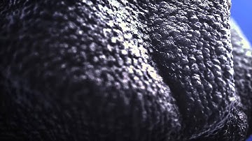 Organic, Element 3D & Motion pulse [after effects]