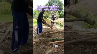 Bang Rony Lagi Sibuk Bikin Berugak Bambu