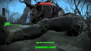 Fallout 4 is too easy ( Part 3 )