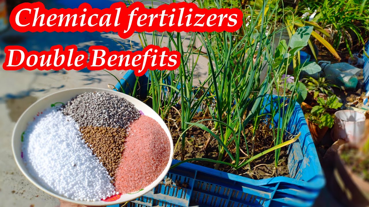 Simple & Easiest way to make dry compost at home || A compost for planting heath