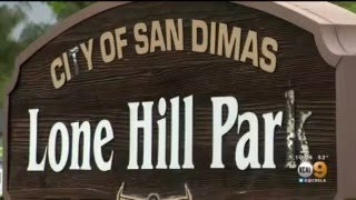 Woman, Dog Fatally Stabbed In Seemingly Random Attack Near Lone Hill Park In San Dimas