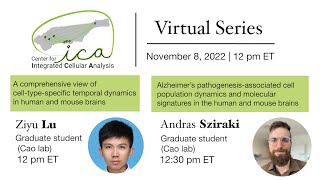 CICA Virtual Seminar Series- Lu_Sziraki- 11/8/2022