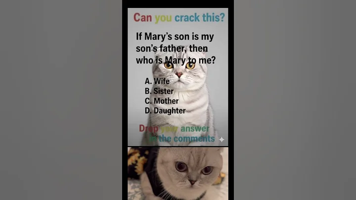 Video 11777941: scottish fold cat kitten, fold cat scottishfold, scottish fold kitty, cute scottish fold kitten