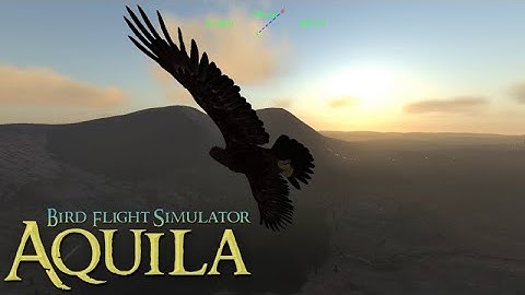 Aquila Bird Flight Simulator - Trailer December 2020