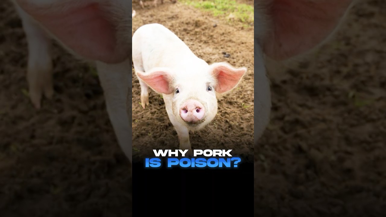 Свинина — худшее мясо, которое вы можете есть: измените мое мнение🚫